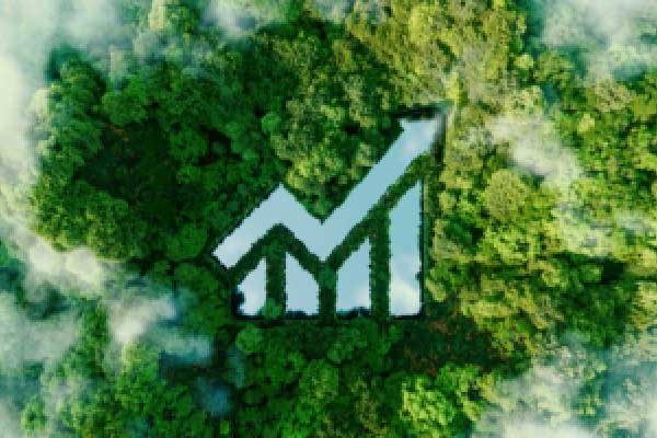 收评|国内期货主力合约涨多跌少，锰硅等4品种涨停